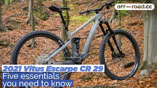 First Look 2021 Vitus Escarpe CR 29  Five essentials you need to know [upl. by Nollat111]