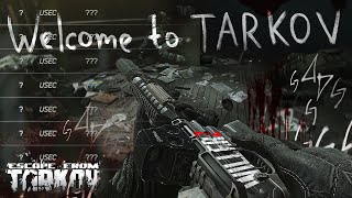 WILLERZ PvP ONLY  Escape from Tarkov [upl. by Taffy]