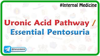 Uronic Acid Pathway  Essential Pentosuria  Medical Biochemistry by Dr G Bhanu Prakash [upl. by Ramak]