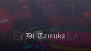 Dj Tamuka Vanolila Mix Aii Ayi [upl. by Kaylil]