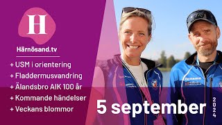 Härnösandtv  5 september 2024 [upl. by Wagstaff437]