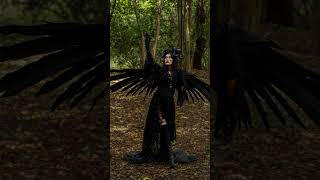 Morrigan The Mysterious Shapeshifter of Celtic Mythology [upl. by Irmina772]