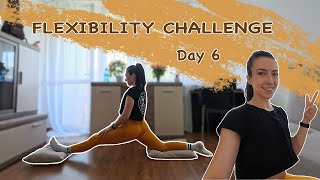 Split Challenge Day 6  Home Stretching  Beginner Stretching Routine splitsfromscratch 4K [upl. by Ikairik]