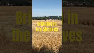 Bringing in the Sheaves wheatsheaves wheat harvest harvesting mormontabernaclechoir shorts [upl. by Ikoek]