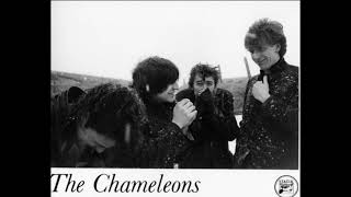 The Chameleons  Live At Hacienda in Manchester 1983 Full Album [upl. by Lenore188]