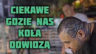 31000 zł za dwa pytony królewskie czy zwariowałem [upl. by Eaneg]