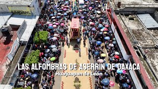 La CIUDAD de las ALFOMBRAS  Huajuapan de León ✅ más de 5 kilómetros de tapetes de aserrin 🤯 [upl. by Nylecyoj412]