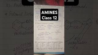 Gabriel phthalimide synthesis se Aniline nhi banta amines class12 chemistryReasoning Question [upl. by Scully]