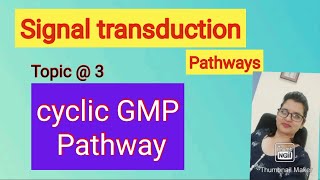 GPCR cyclic GMP pathwaysignal transduction [upl. by Aivad]