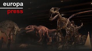 El CaixaForum Madrid muestra una réplica del esqueleto del mayor dinosaurio conocido [upl. by Neumark507]