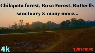 Full day trip around Chilapata forest Buxa butterfly sanctuary sunset by the river travel bike [upl. by Noraed]