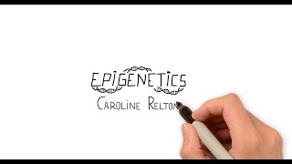 A three minute primer on epigenetics [upl. by Euqinimod]