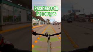 Paraderos de las Orugas en el Blvd Hidalgo de Leonguanajuato noecillo ciclismourbano [upl. by Mendie]