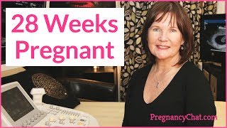 quot28 Weeks Pregnantquot by PregnancyChatcom PregChat [upl. by Anehc]