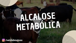 Alcalose Metabólica 070 [upl. by Tapes]