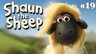 Twos Company  Shaun the Sheep Season 2  Full Episode [upl. by Ethelstan]