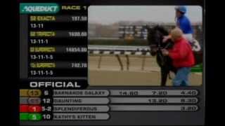 BARNARDS GALAXY wins at Aqueduct  November 24 2012 [upl. by Latrice]