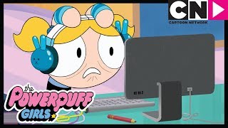 Dentro da Internet  As Meninas Superpoderosas  Cartoon Network [upl. by Tsugua874]