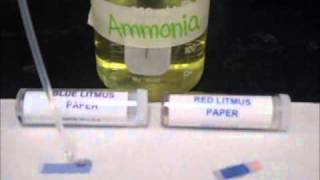 Testing Acids amp Bases on Litmus Paper [upl. by Znieh]