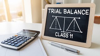 Trial Balance I Class 11 I Part 1 I [upl. by Aekim183]