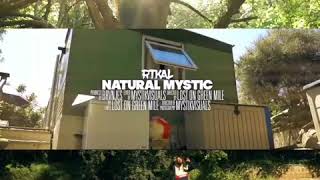 RTKal  Natural Mystic official Audio [upl. by Denna]