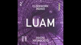 Clockwork Indigo Flatbush Zombies amp The Underachievers  LUAM [upl. by Rape]