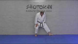 Shotokan Stances Kokutsu Dachi Back Stance [upl. by Ytisahc]