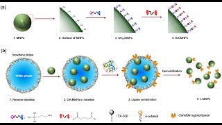 Alternating Current Conductivity of Papain Doped Palypyrrole Composite Polymer [upl. by Alicea413]