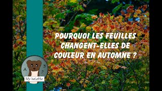 Pourquoi les feuilles changent de couleur en automne [upl. by Lillis]