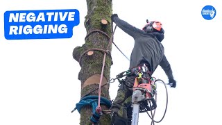 How to rig sections of trunk onto itself  Arborist Rigging techniques [upl. by Adiv]