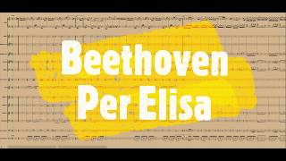 Per Elisa di Beethoven  Partitura gratis per Orchestra Scolastica [upl. by Keram819]