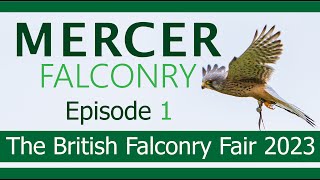 The British Falconry Fair 2023  Mercer Falconry Episode 1 [upl. by Ybsorc330]