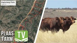 NamAgri  Droughtmaster Farm TV  18 Augustus 2021 [upl. by Singleton]