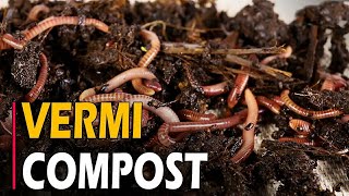 How to Make Vermicompost  How To make Vermicompost at Home From Kitchen Waste [upl. by Jacobah647]