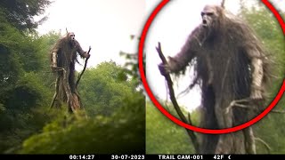 Astounding Trail Cam Evidence That Unmasked Their Existence [upl. by Eerac151]