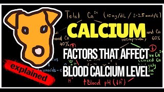 Blood calcium level Regulation Factors that affect blood Calcium level Total Ca Free Ca Binded Ca [upl. by Iram]