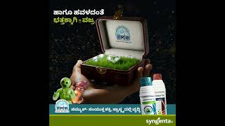 Samyak Product Video Kannada  Syngenta [upl. by Melentha]