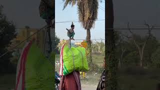 Guy’s Sonpur ￼ main kis tarah ￼￼rassi par Ladka chal raha Hai 😱 sonpurmela viralvideo shorts [upl. by Eniamrej]