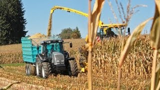 Maisernte mit VALTRA Traktoren  AMPLandtechnik [upl. by Regina142]