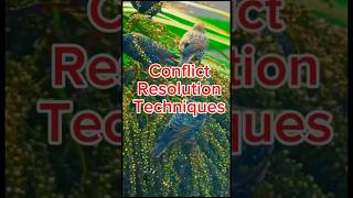 Conflict Resolution Techniquesengineering [upl. by Nosnar]