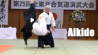 Aikido Doshu Ueshiba Moriteru Sensei [upl. by Ybeloc]