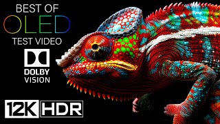 12K HDR 240fps DOLBY VISION OLED Test Video 2024 [upl. by Ythomit]