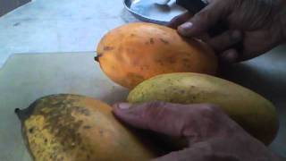 HOW TO FIND OUT  ORGANIC MANGOES VS CHEMICAL TREATED MANGOES [upl. by Lorac13]