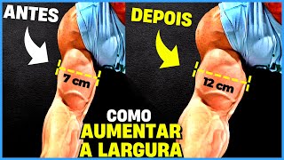 5 EXERCÍCIOS PARA DEIXAR O BÍCEPS MAIS LARGO  TREINO DE BÍCEPS [upl. by Halil]