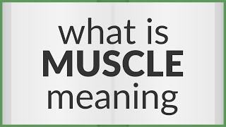 Muscle  meaning of Muscle [upl. by Bearnard]