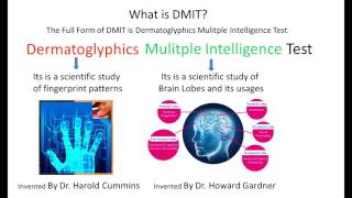 What is DMIT Test Dermatoglyphics Multiple Intelligence Test [upl. by Entsirhc]