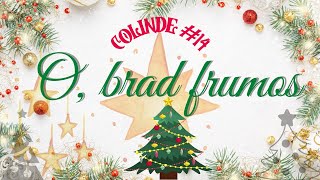 O brad frumos  Colinde la chitară 14 [upl. by Llenehs]