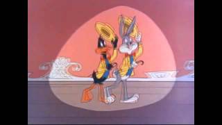 WB ☺ Tiny Toons Adventures  How I spent the summer vocation Outro [upl. by Hahsia]