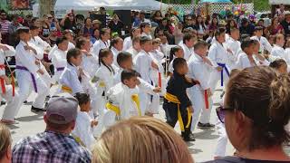 Ceres Street Faire 2018 Karate Team Martial Arts Moves [upl. by Aay]