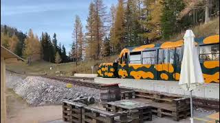 Schneebergbahn Station Baumgarten 1400m [upl. by Savill]